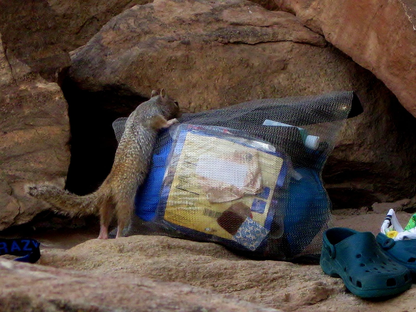 Ratsack