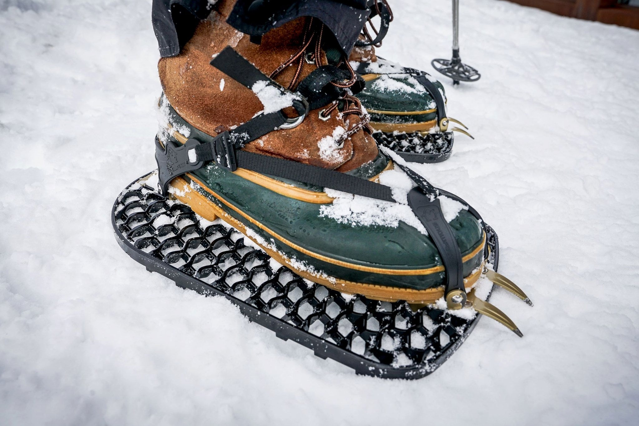 Snowshoes