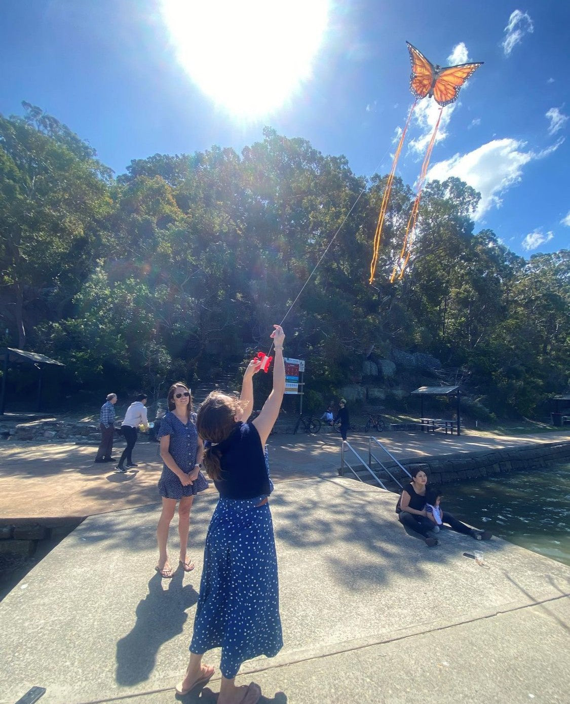 X Kites