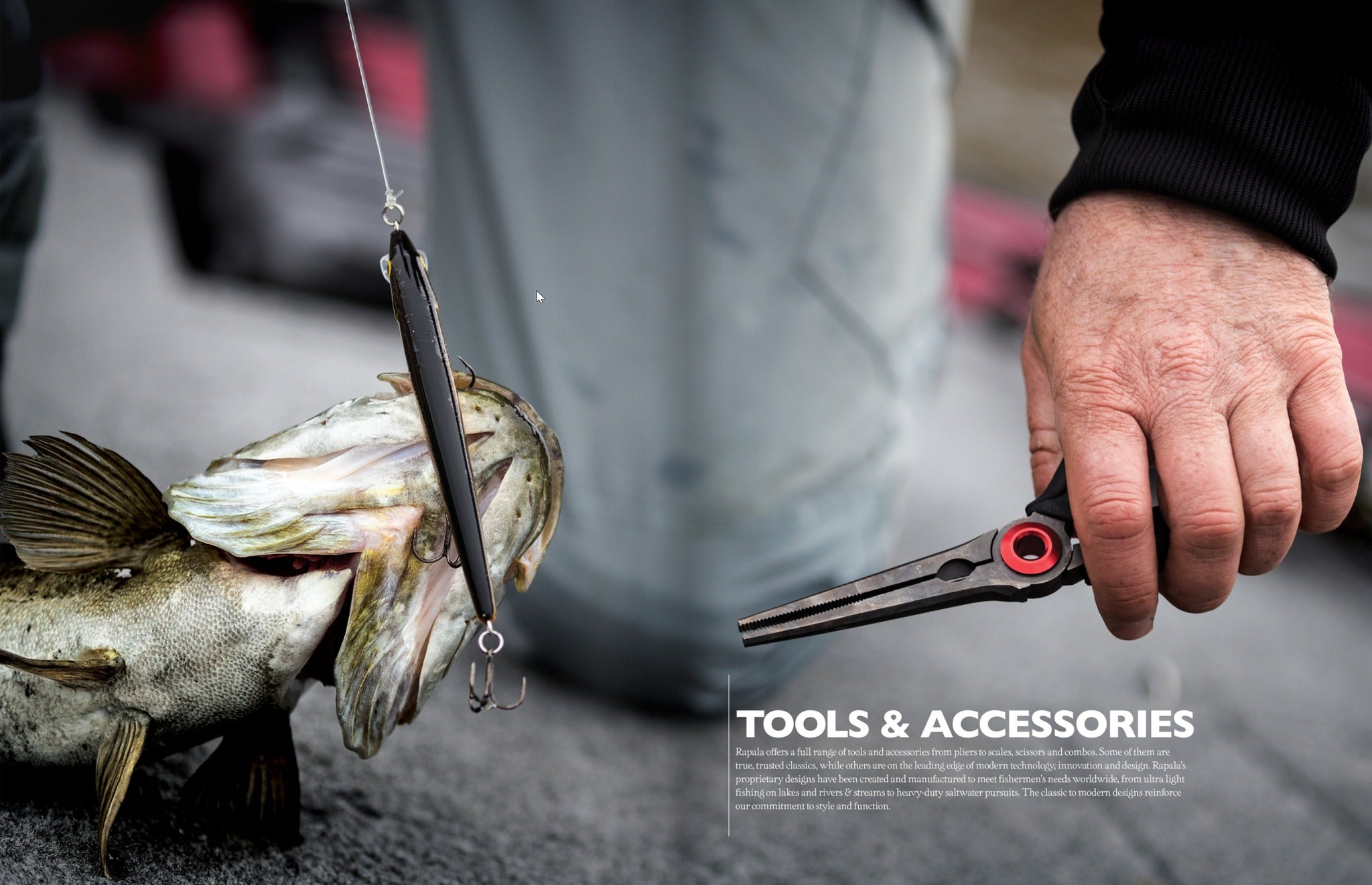 Rapala