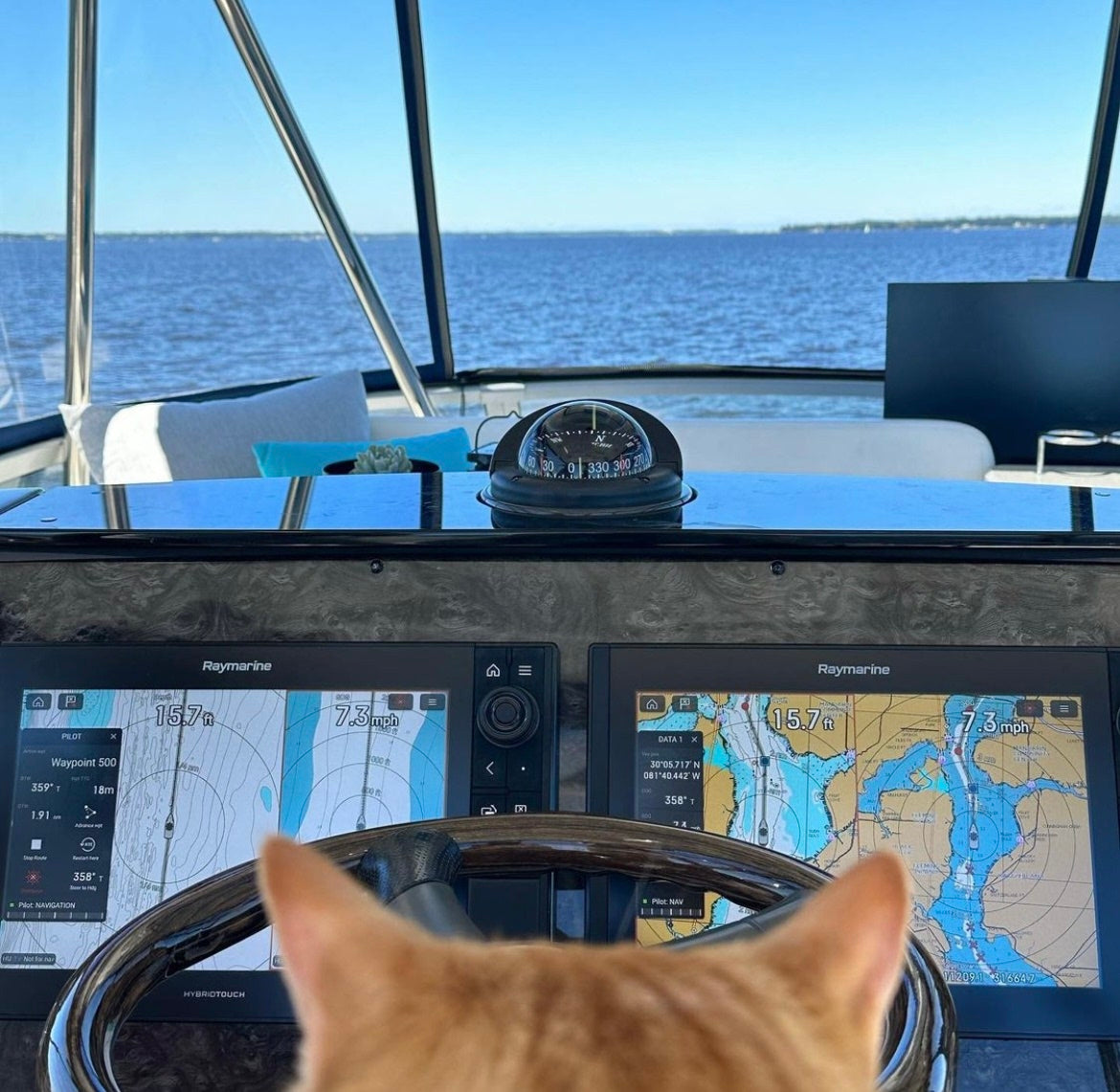 Navionics