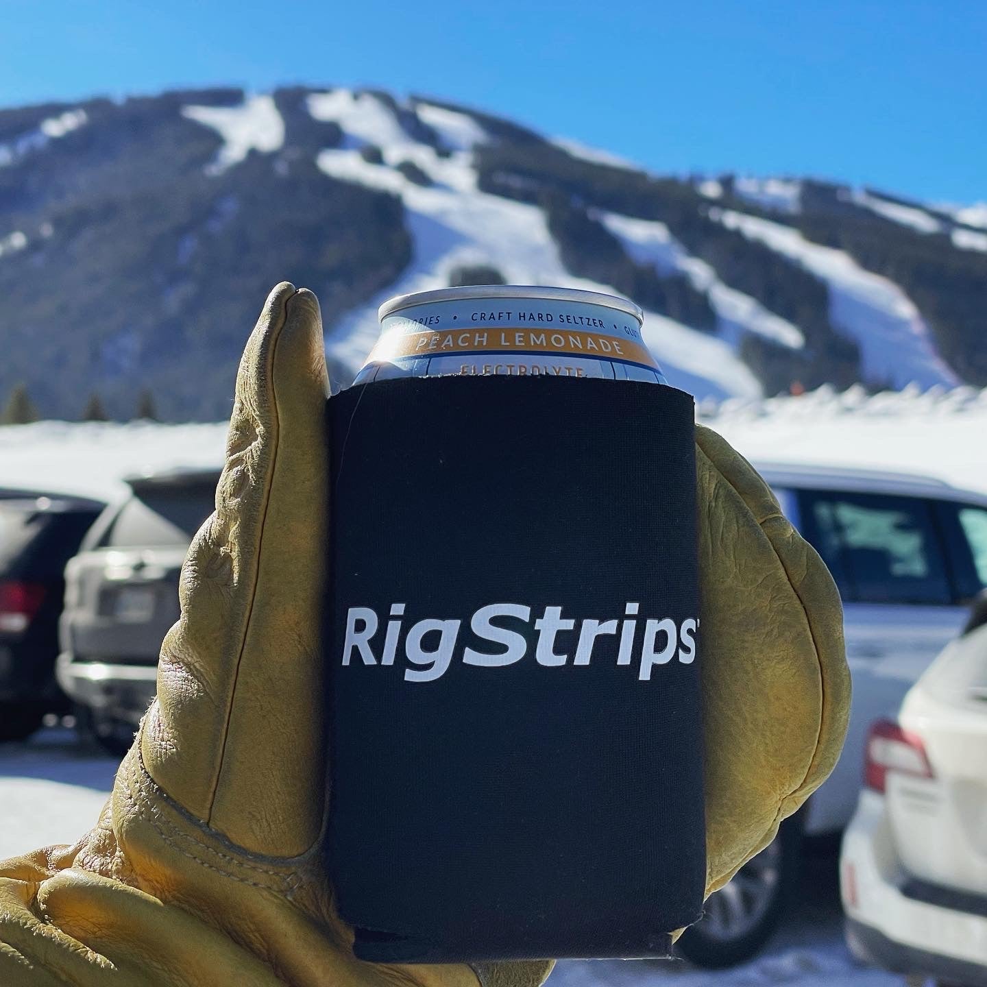 RigStrips