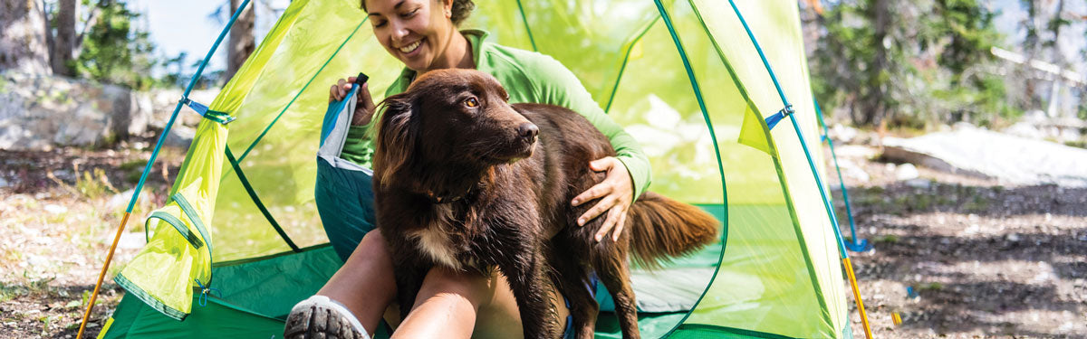 Aspen Pet