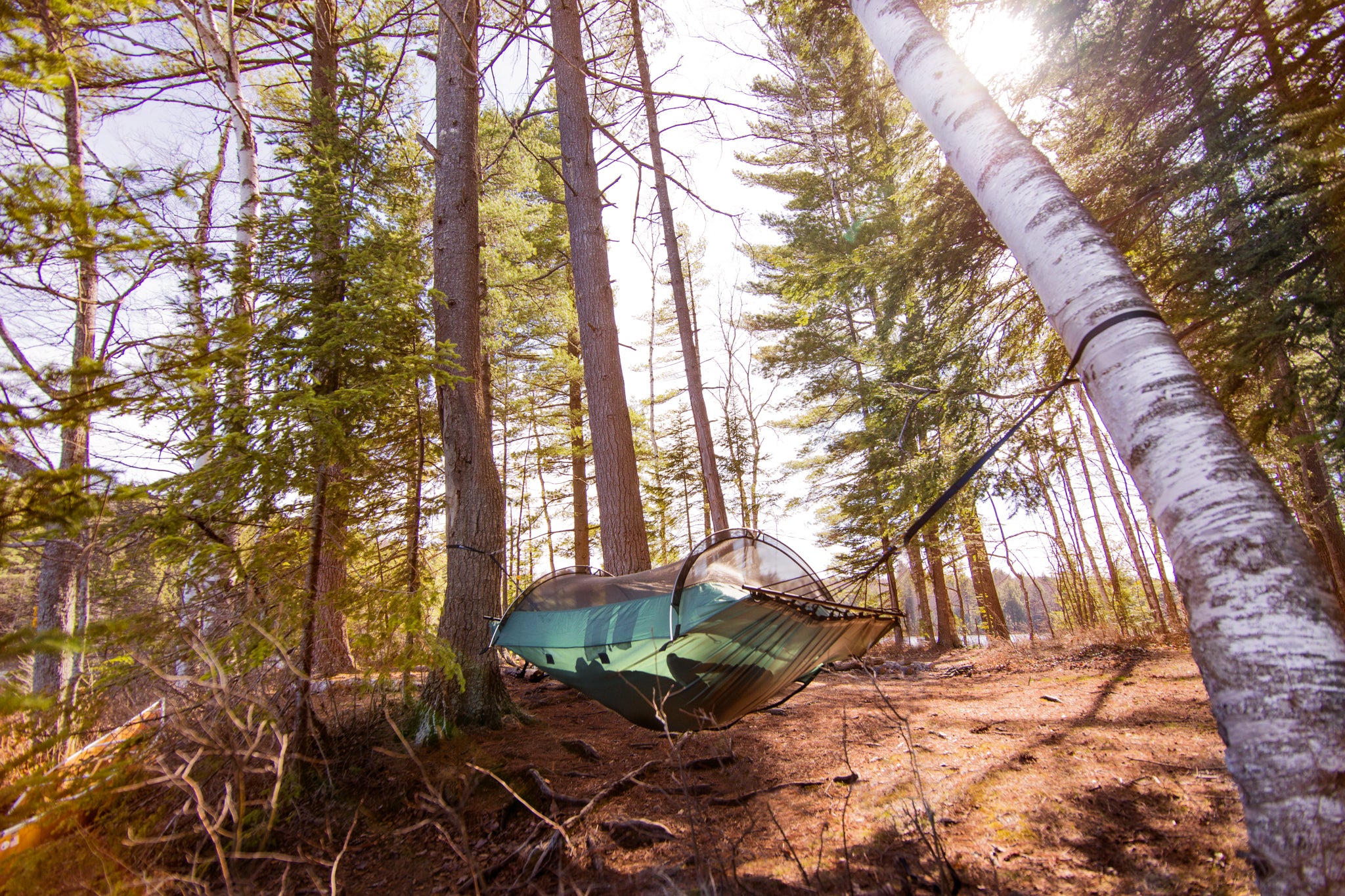 Lawson Hammock