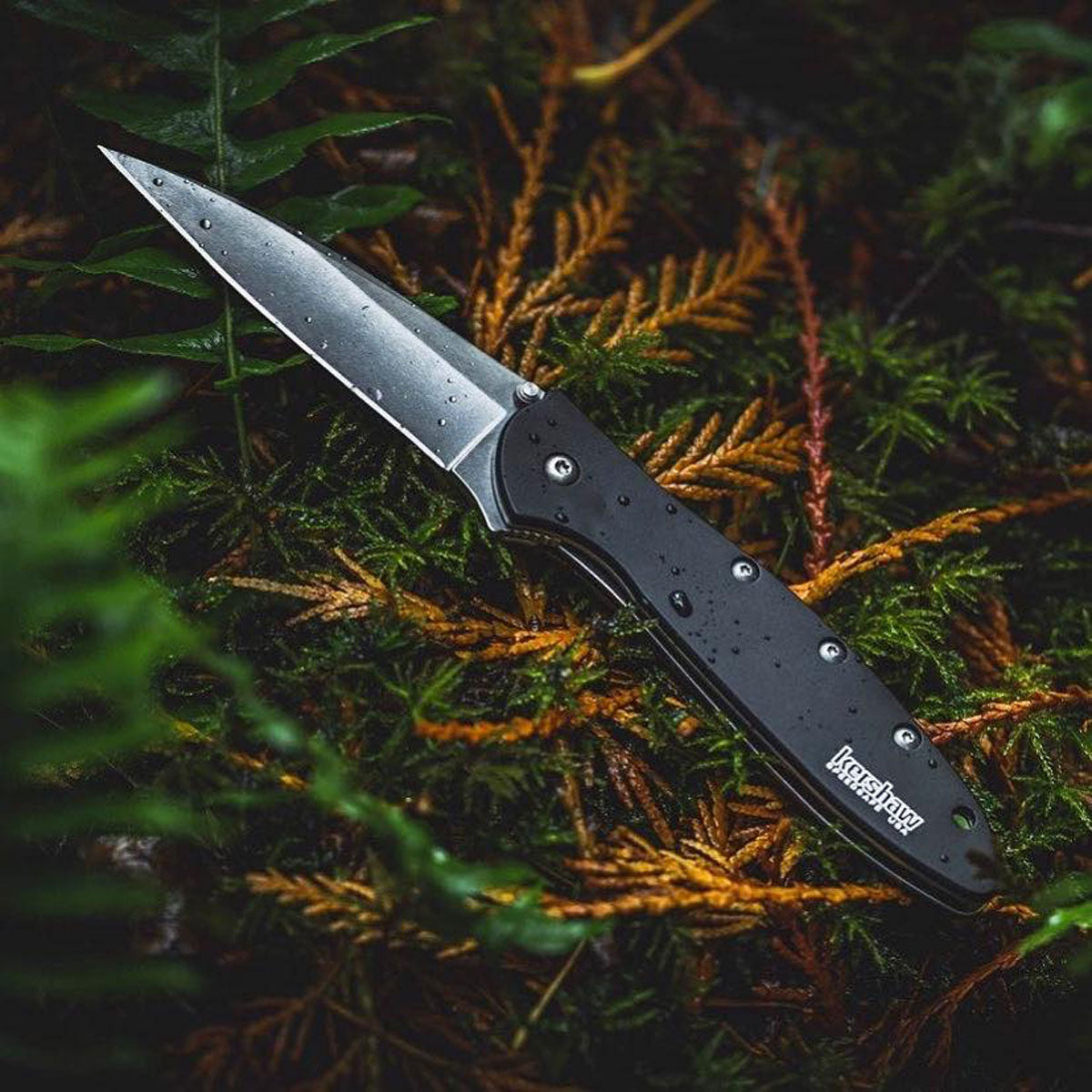 Kershaw