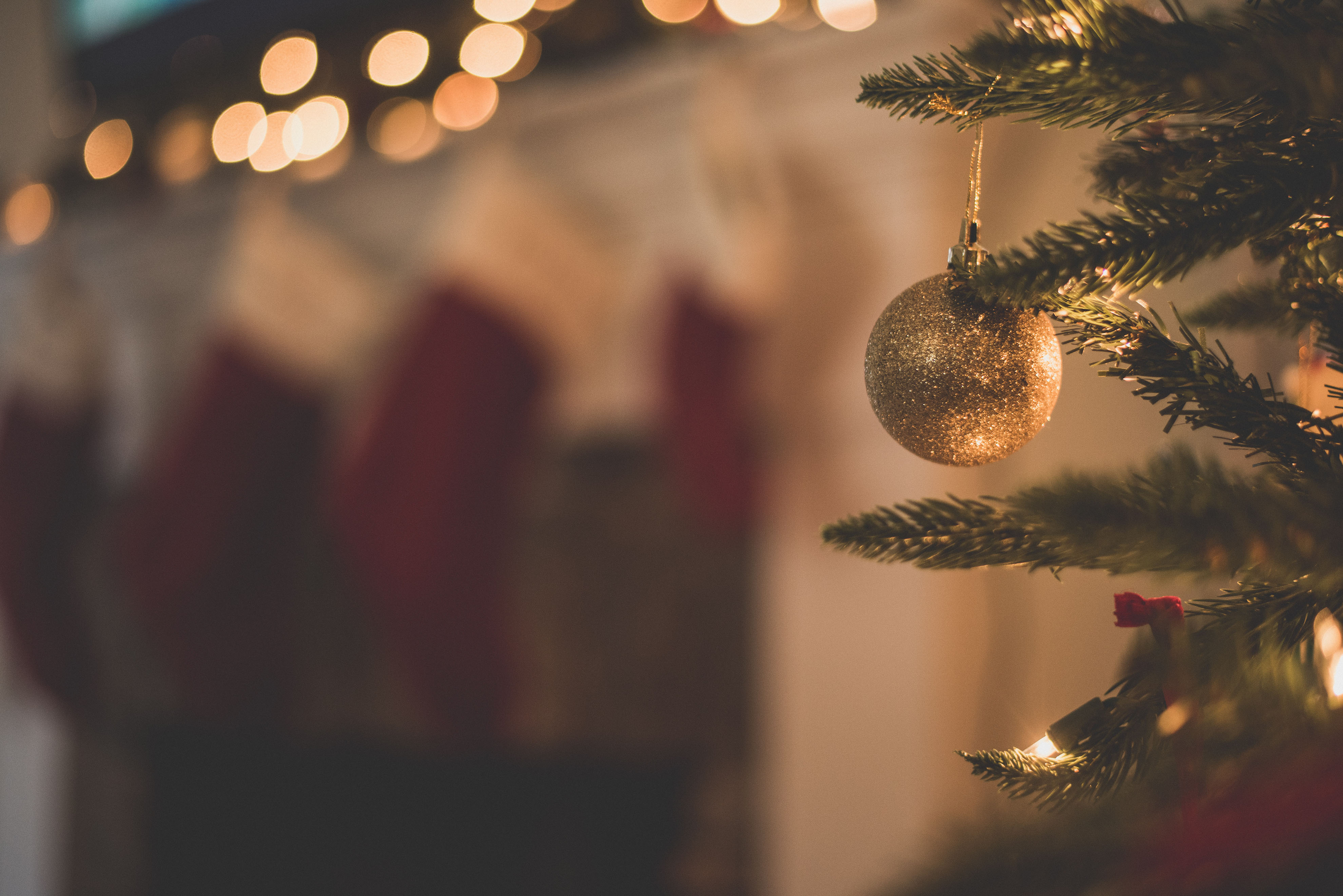 Holiday Fitness Guide
