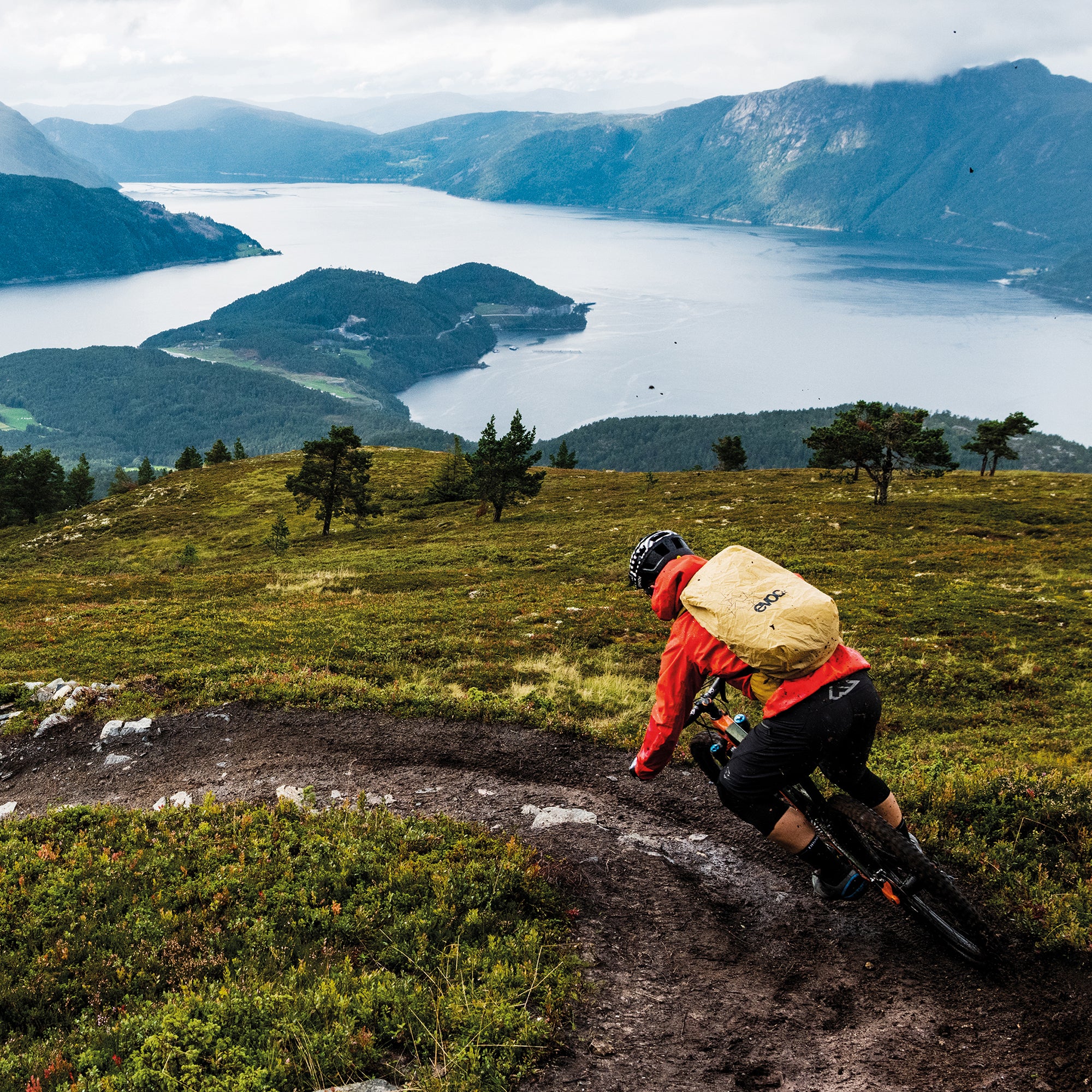 Gone Biking