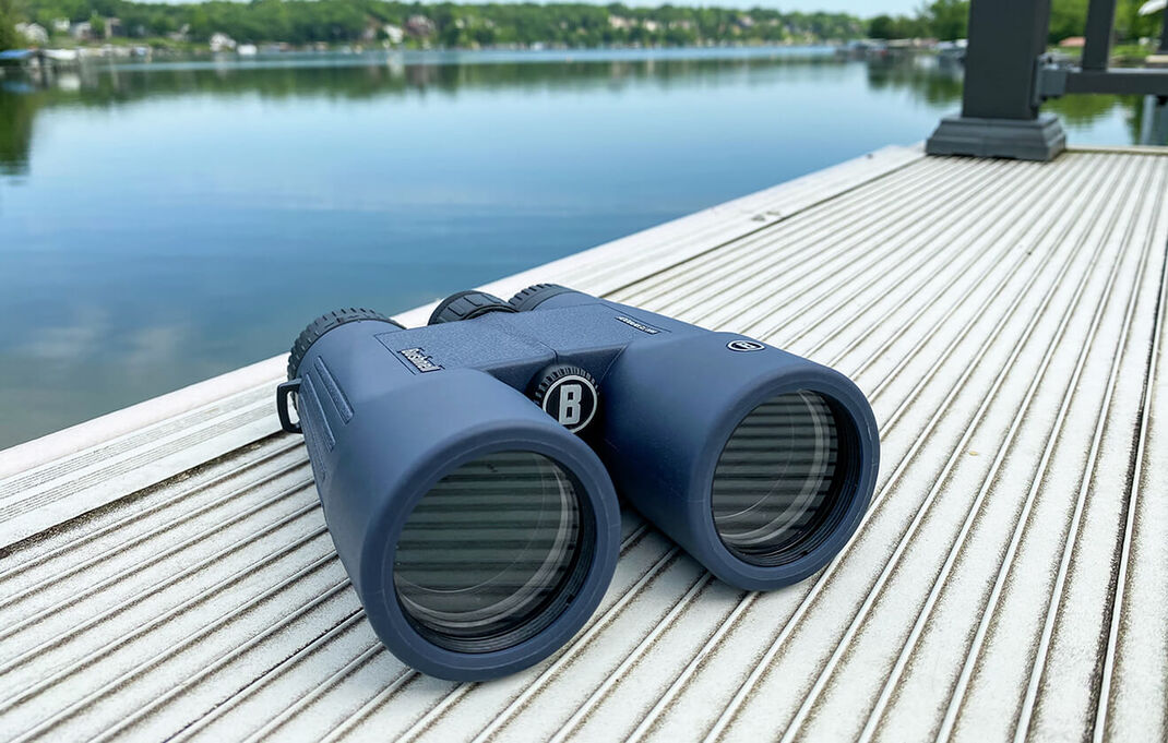 Bushnell