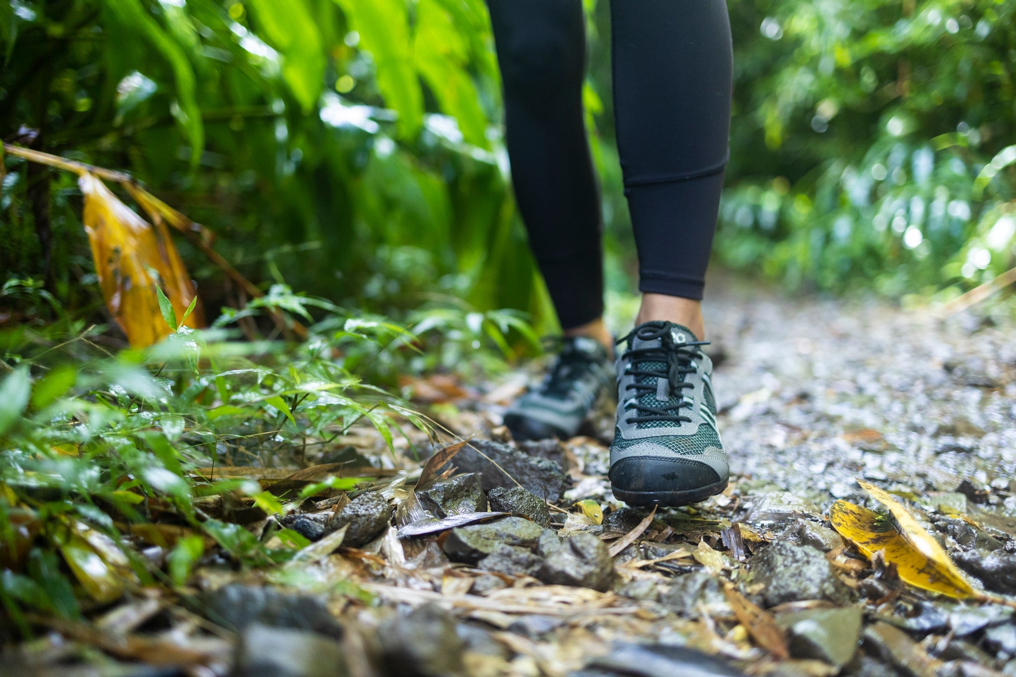 Women's Hiking Footwear