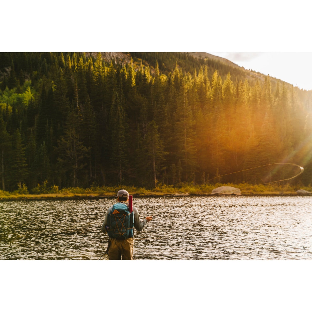 REDWING 36 LYON'S BLUE