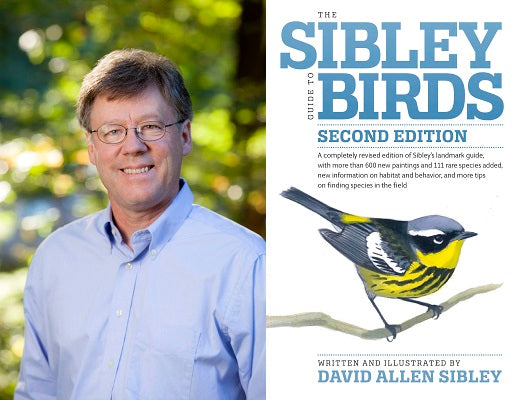 SIBLEY GUIDE TO BIRDS, 2ND ED