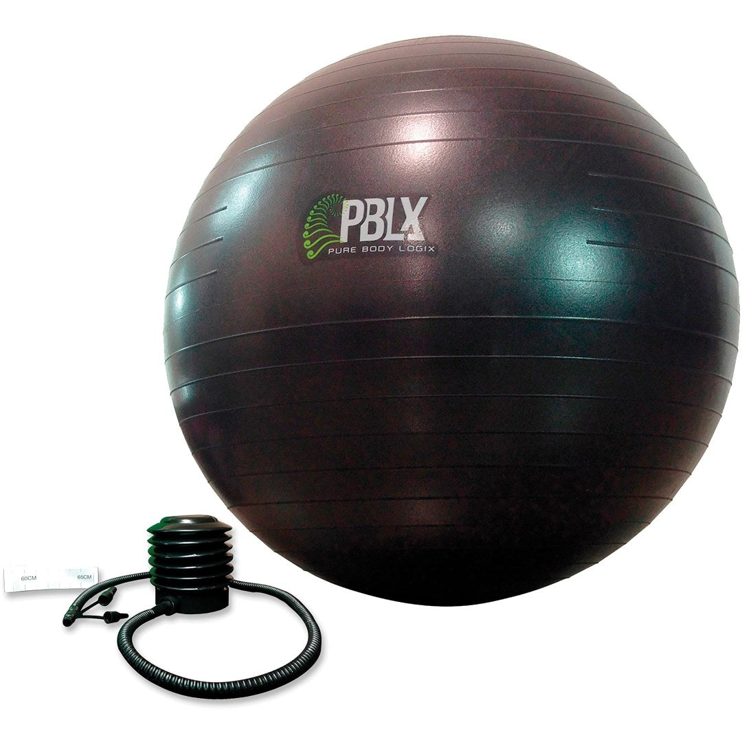 EXERFLEX FITNESS BALL