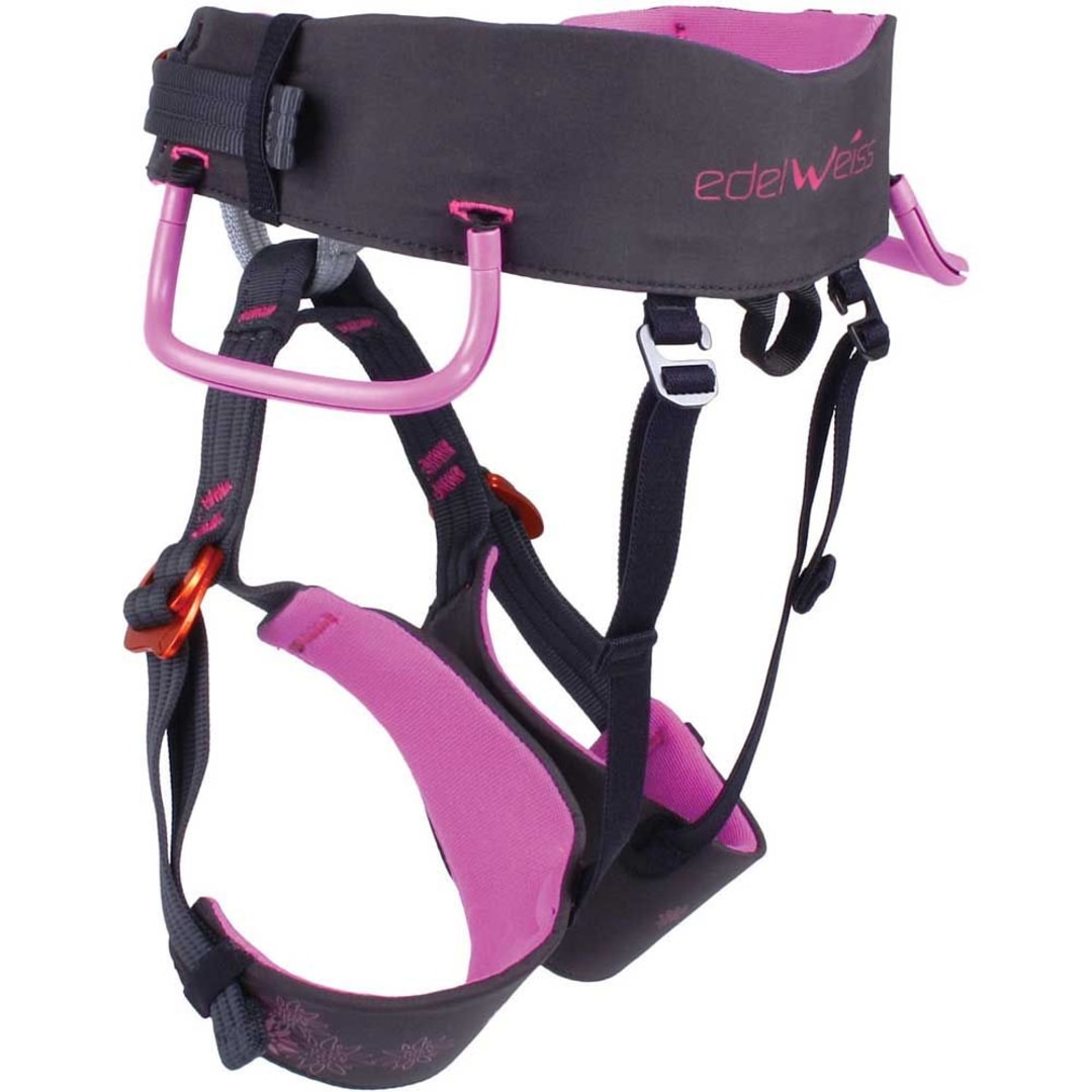 Sword Kids Harness