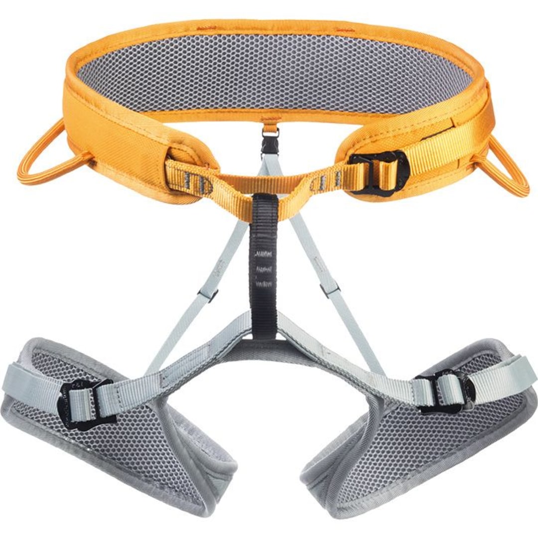 Ray Harness