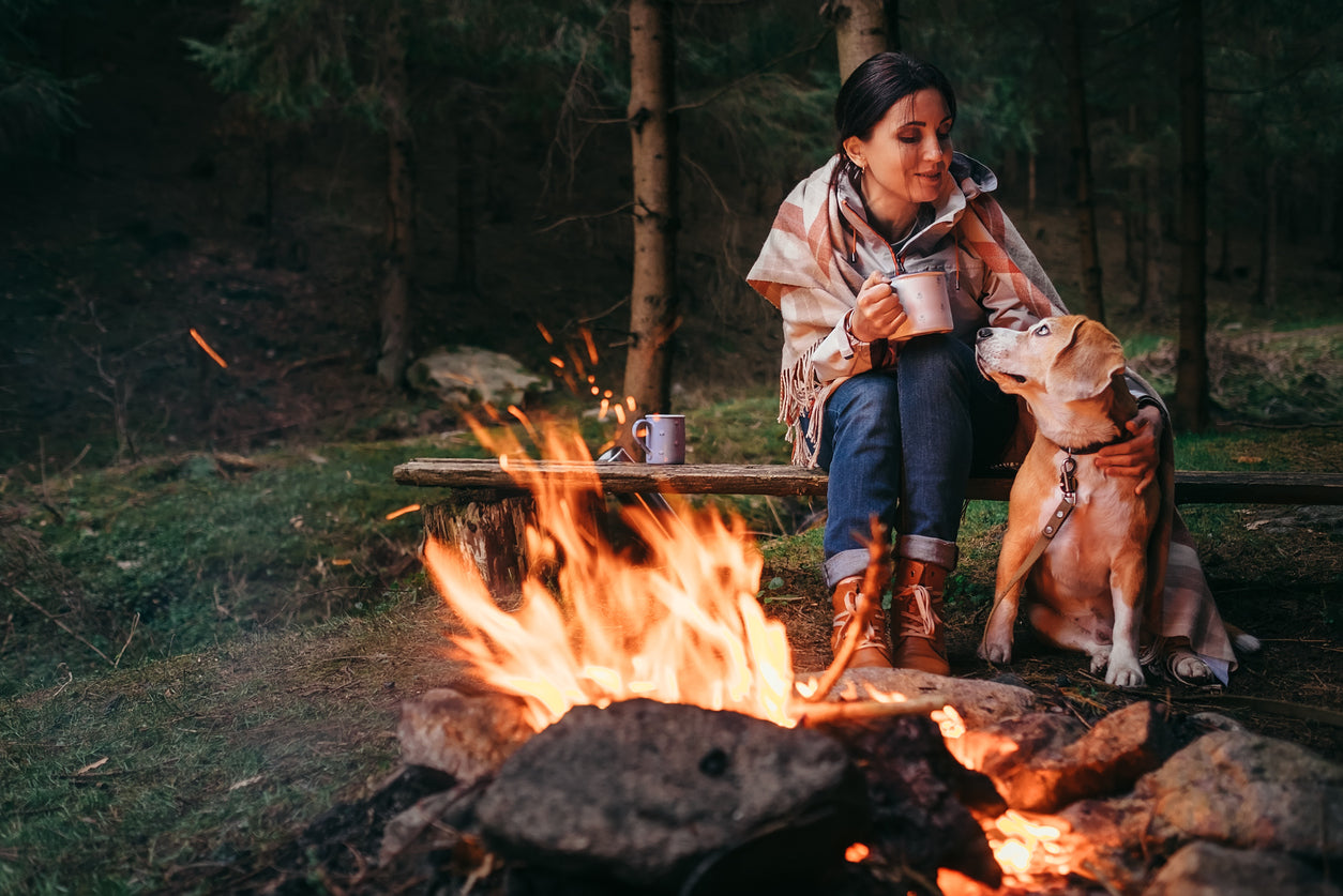 How to Camp with a Dog and Keep Them Safe