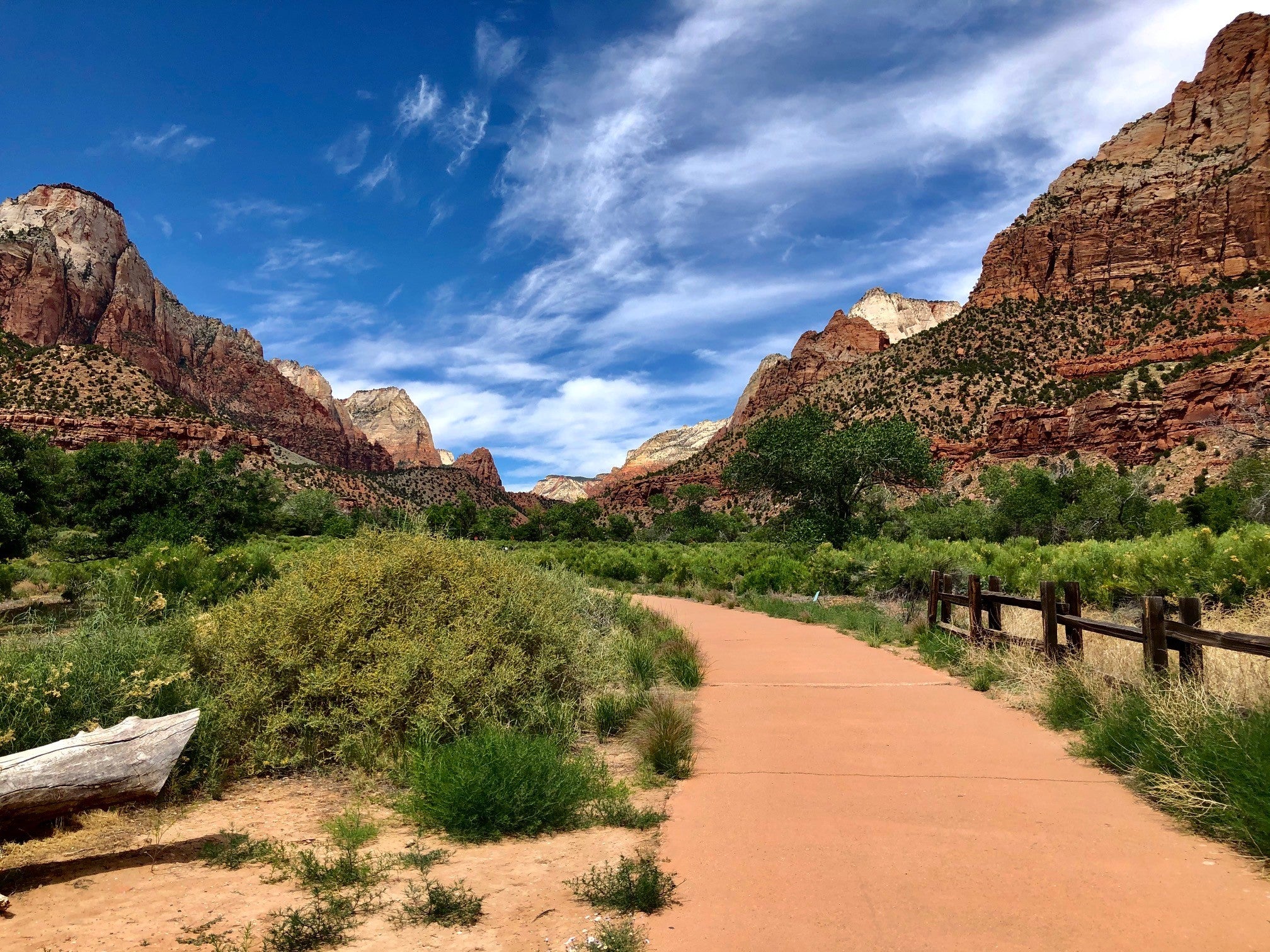 Our Guide To Zion National Park