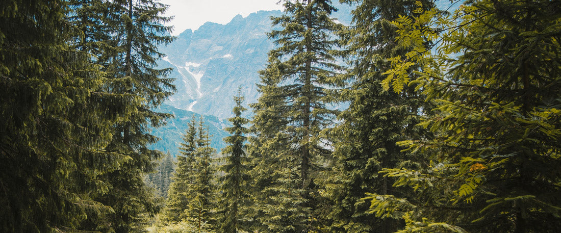 4 Tips For Your Solo Camping Trip