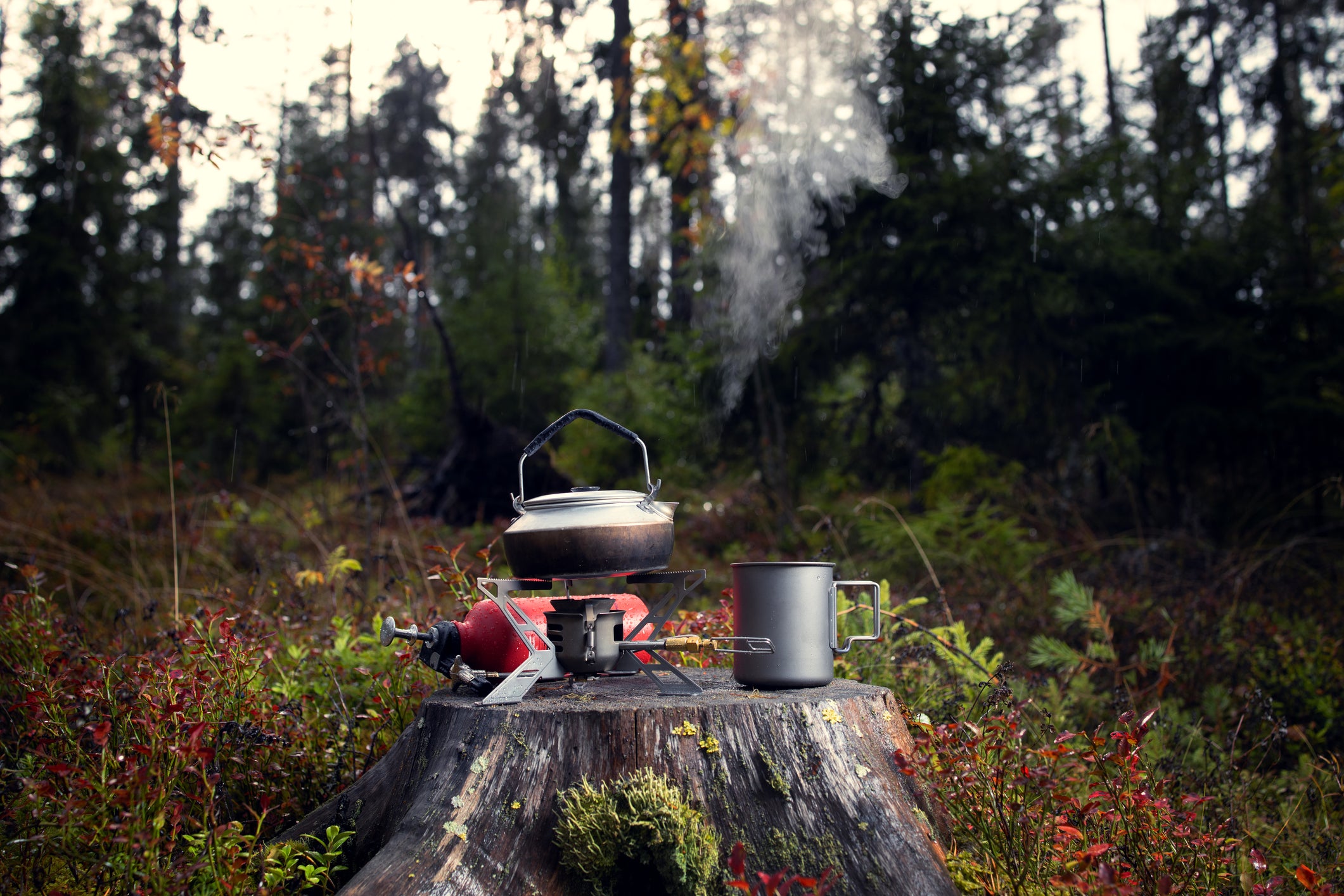 cooking food using camping stove