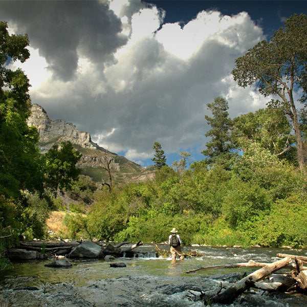 Western Rivers