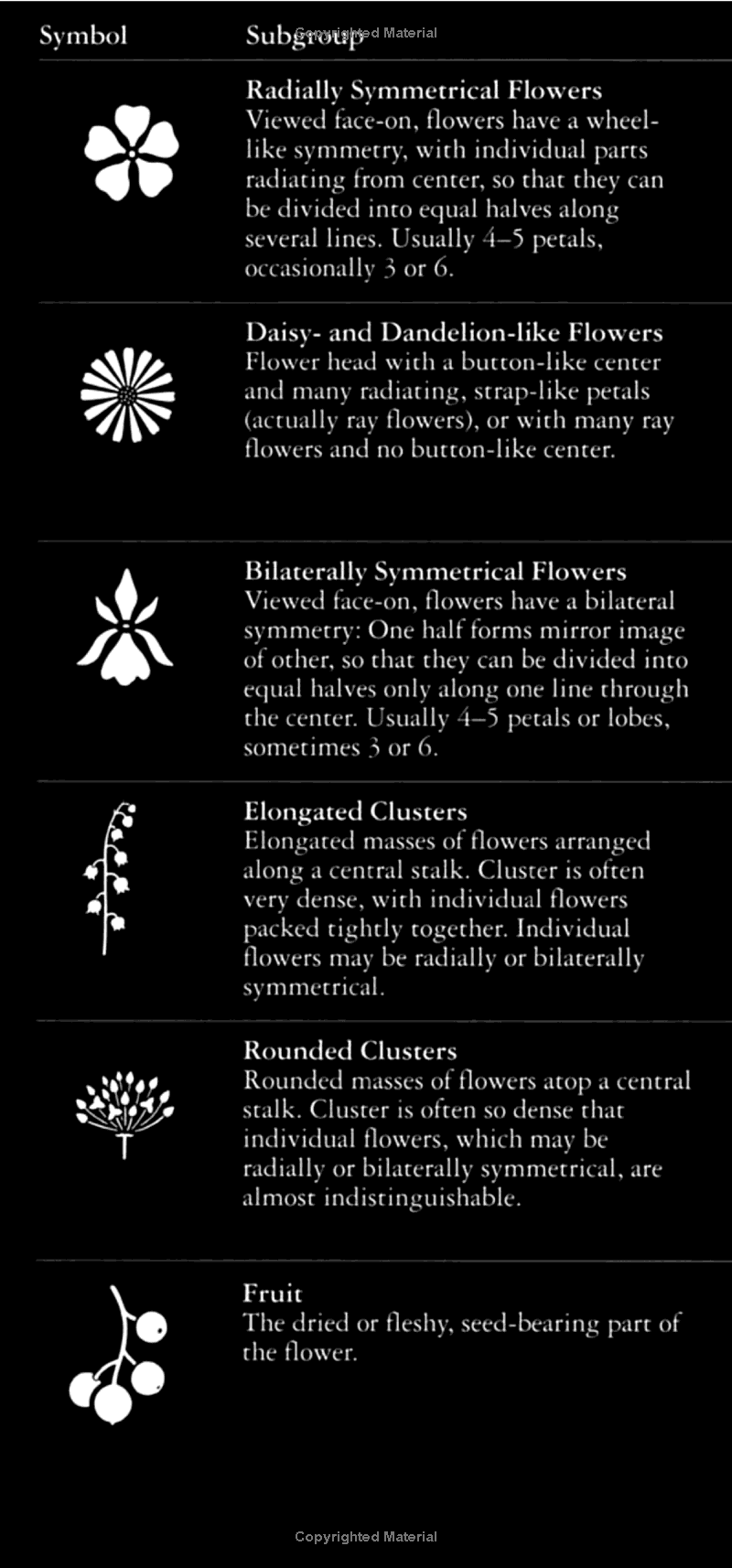 AUDBN FG: WILDFLOWERS-WESTERN
