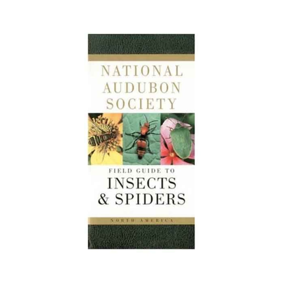 AUDBN FG: INSECTS & SPIDERS