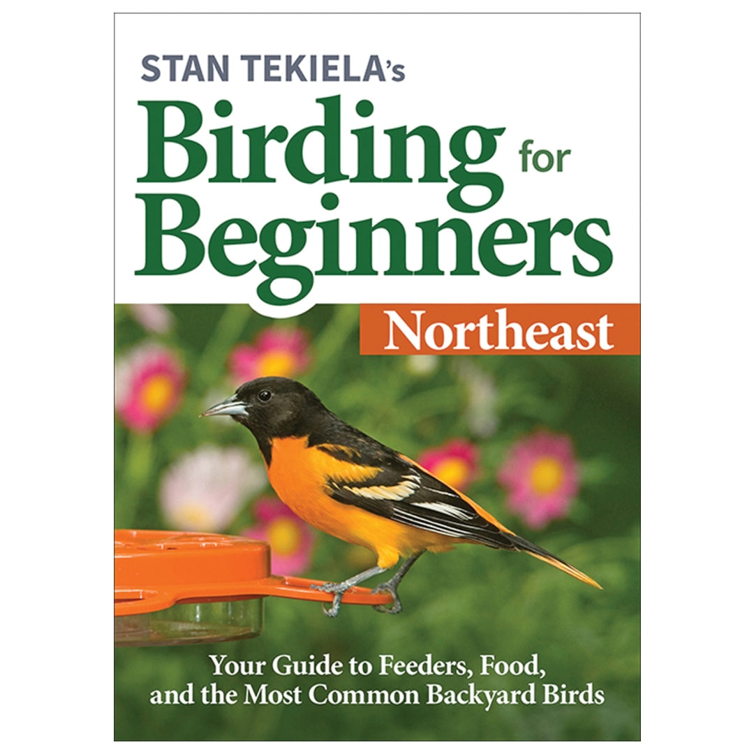 Birding For Beginners: Northeast