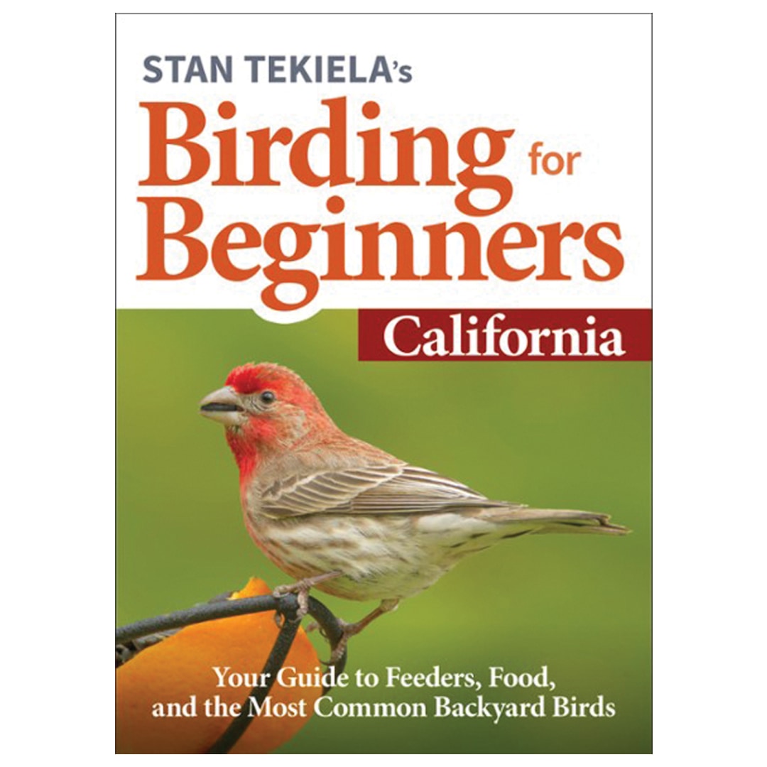 Birding For Beginners: CA