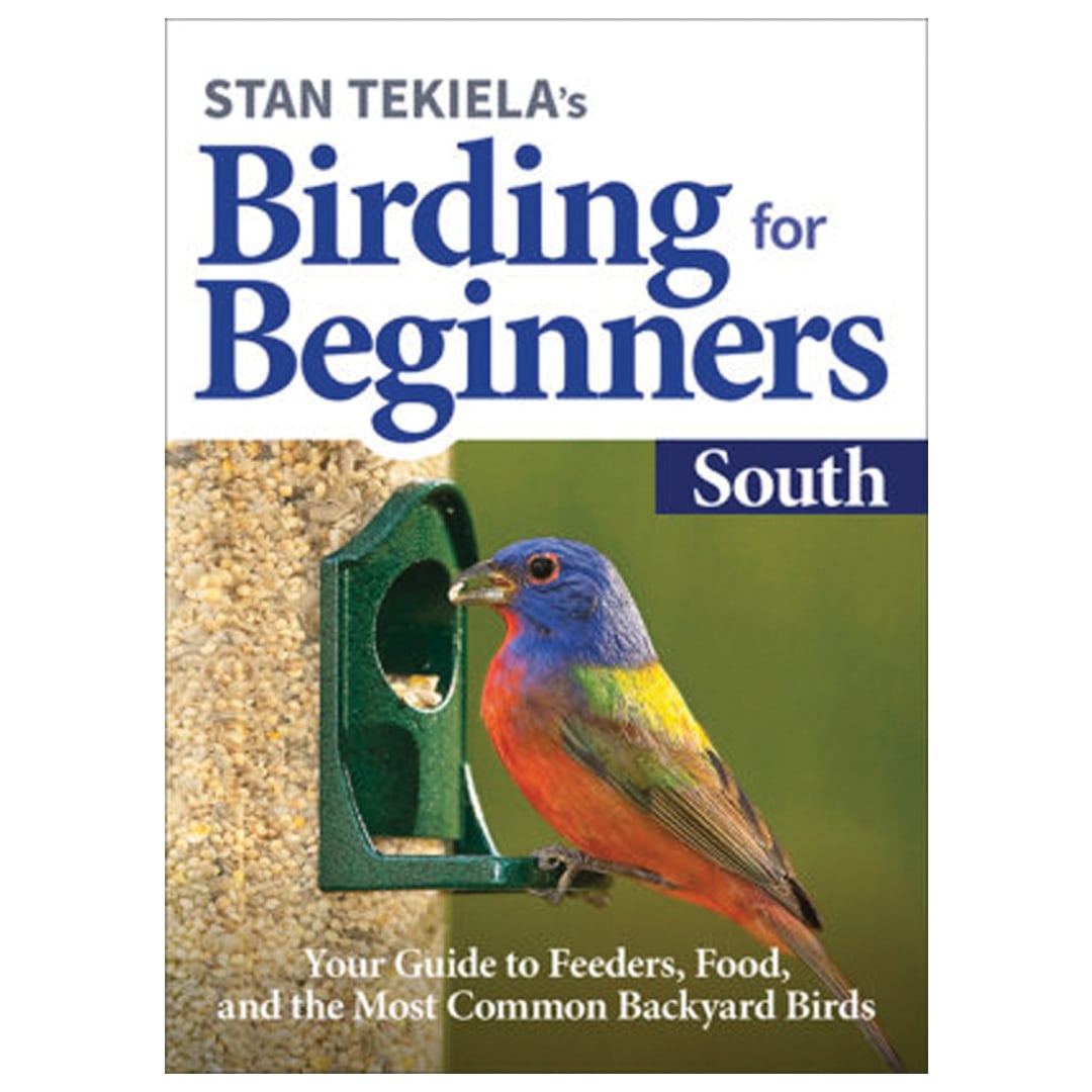 Birding For Beginners: South