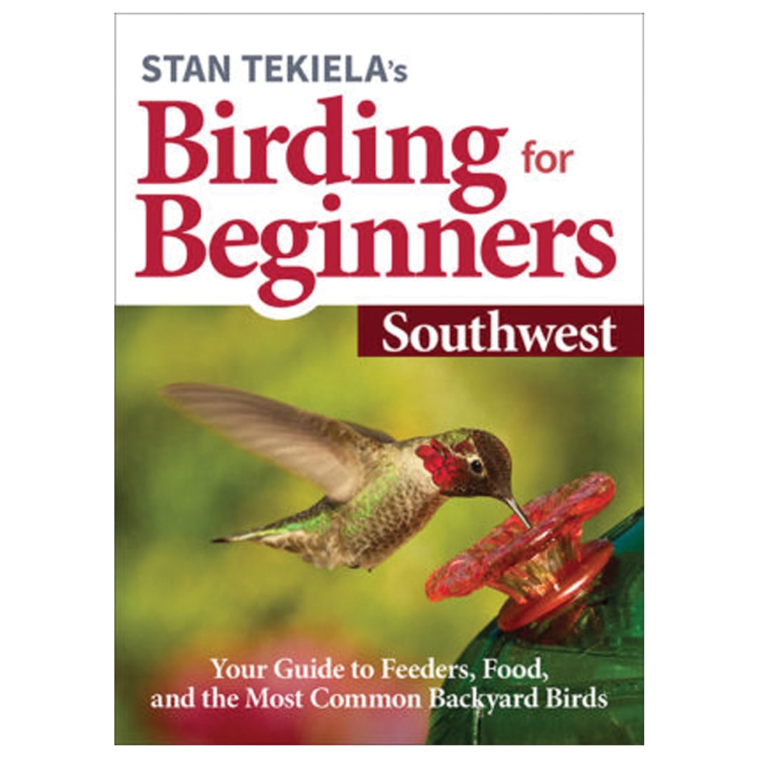 Birding For Beginners: Southwest
