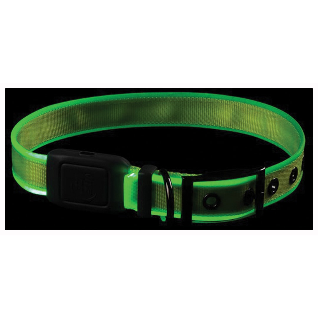 NITEDOG RC LED COLLAR