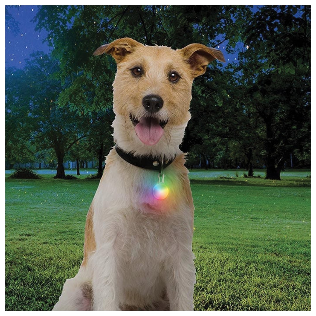 SPOTLIT RECHARGE COLLAR LIGHT